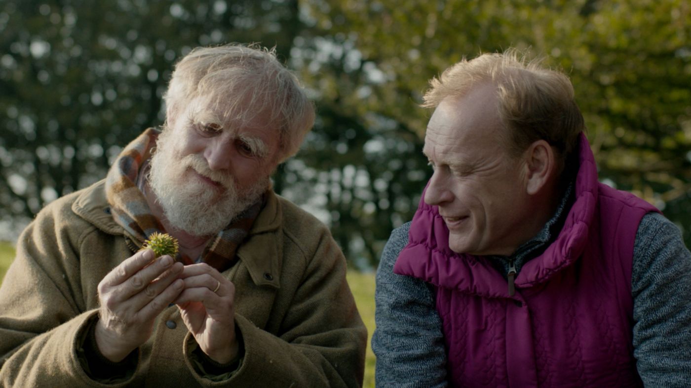 scena di "And Then Come The Nightjars"