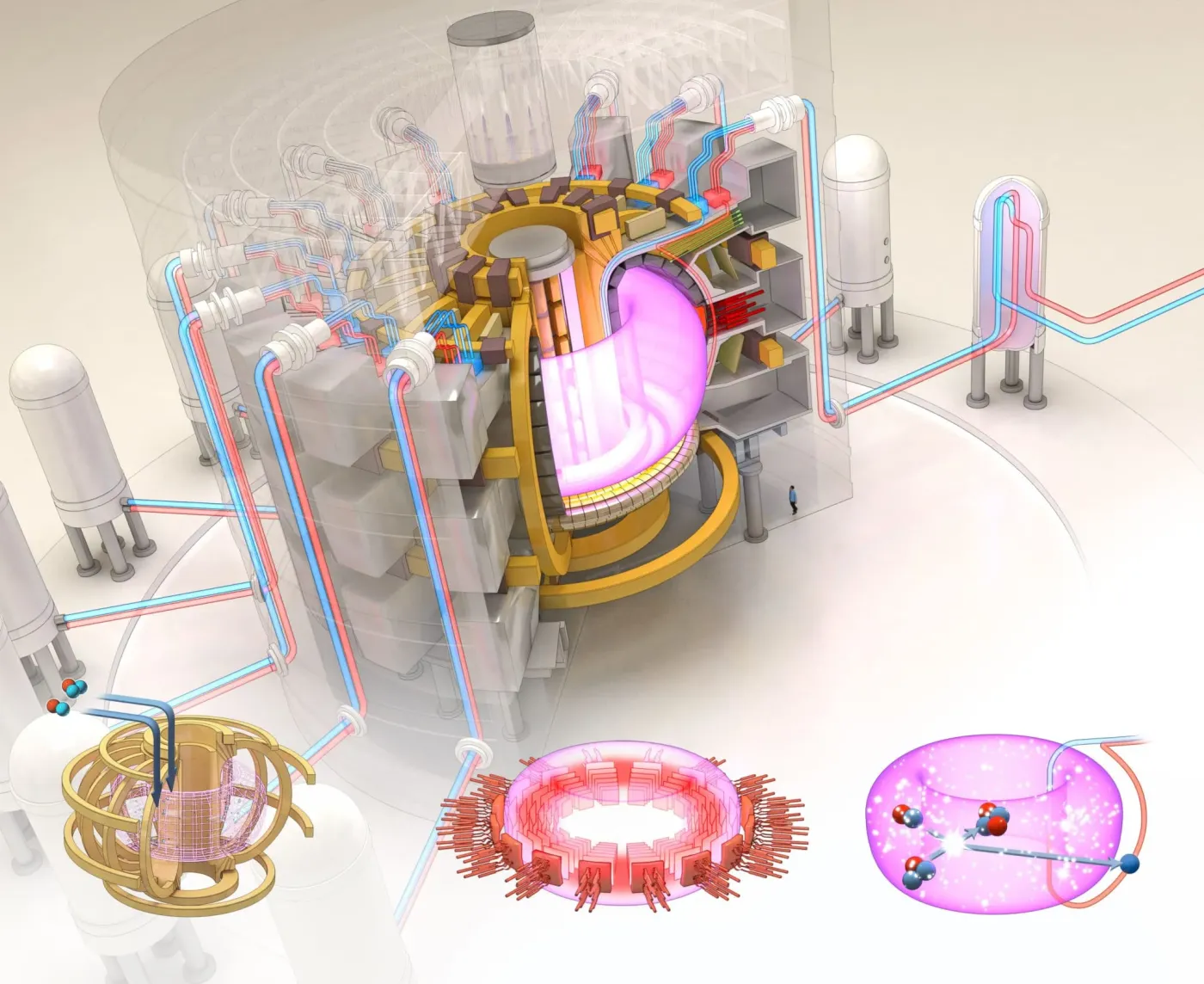 schema del tokamak