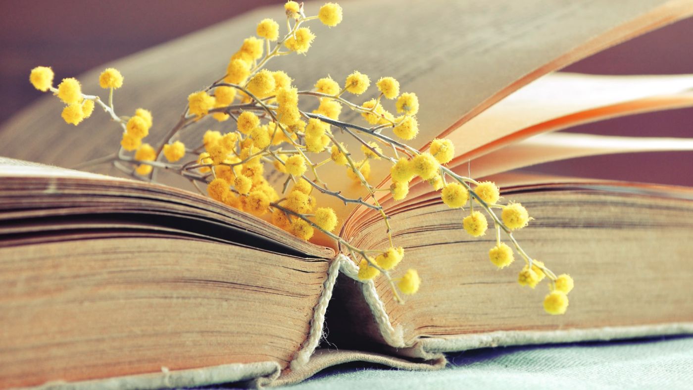 giornata internazionale della donna comites di Londra