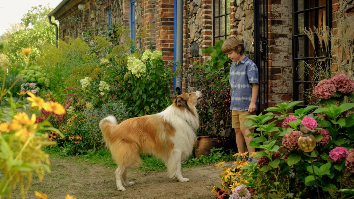 lassie a new adventure