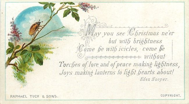 biglietto di auguri con insetto