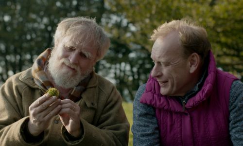 scena di "And Then Come The Nightjars"