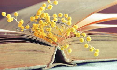 giornata internazionale della donna comites di Londra