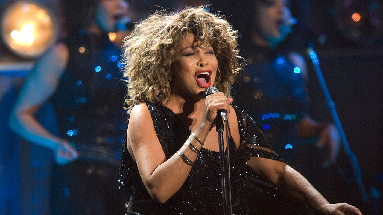 tina turner in concerto