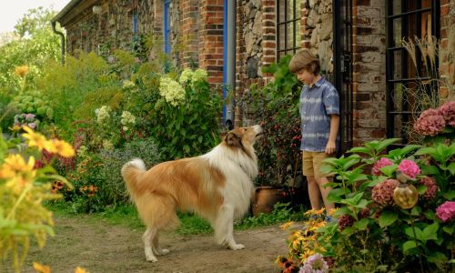 lassie a new adventure
